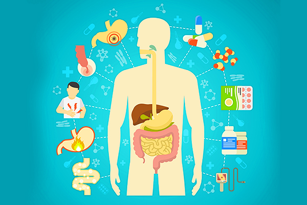 Digestive Health